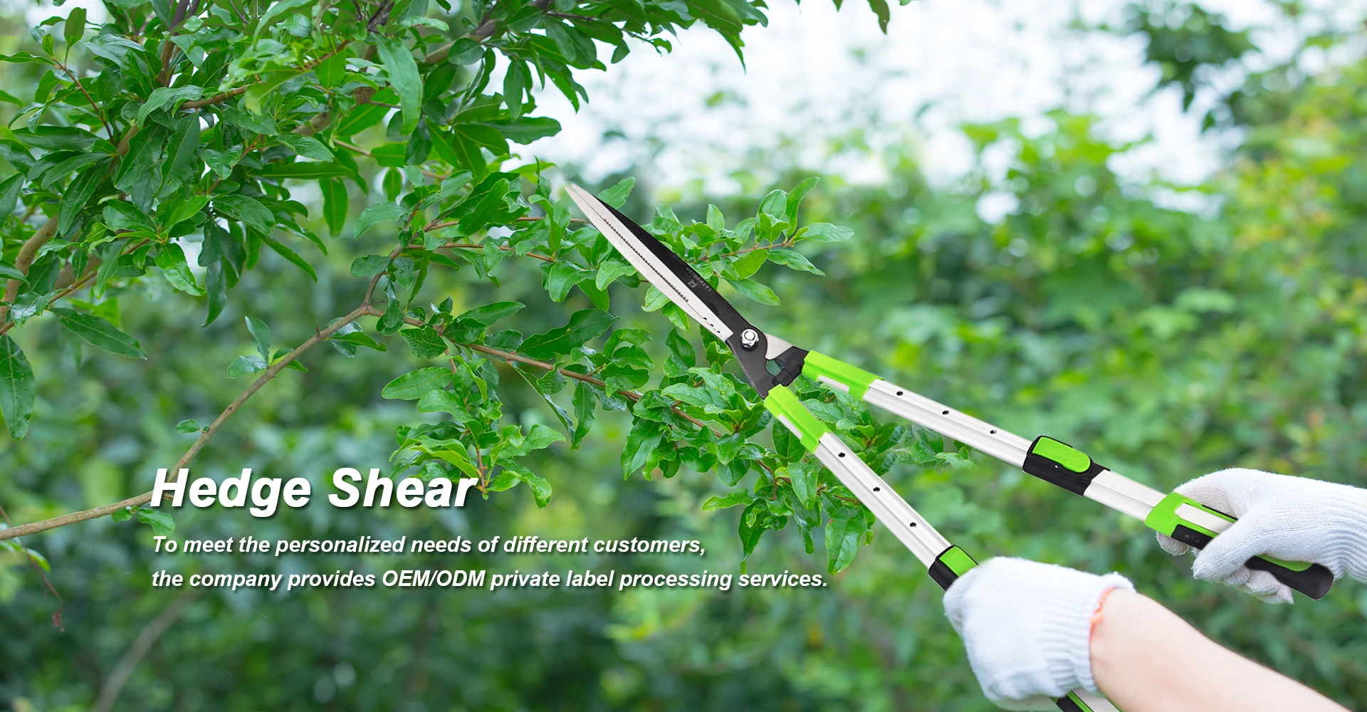 Fabricante de cisalhamento de hedge