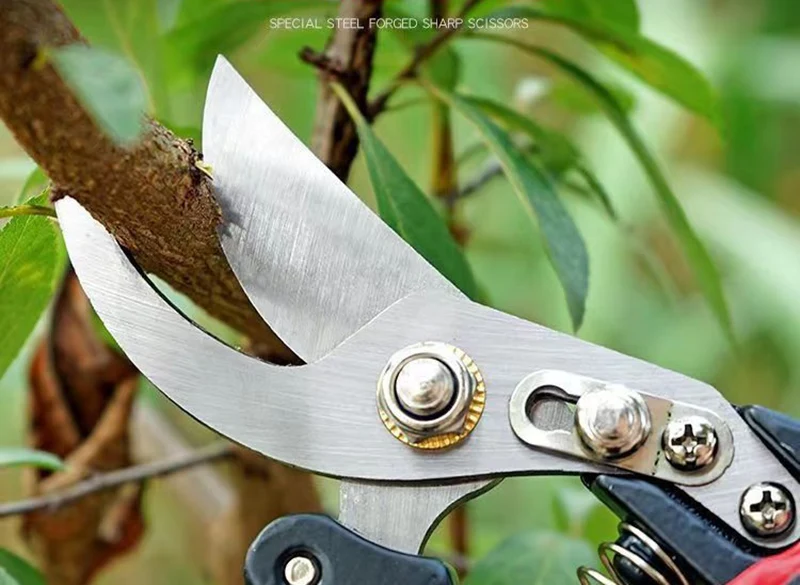 Powerful Garden Pruning Shears